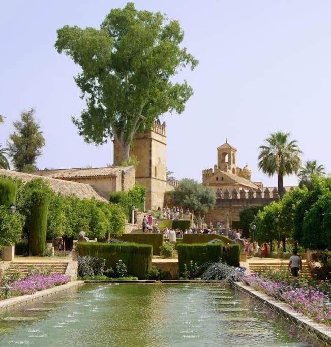 Apartamento Loft Al-Nasir Junto Al Casco Historico Córdoba Exteriér fotografie